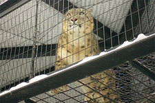 20070511.jpg