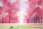 spring.jpg